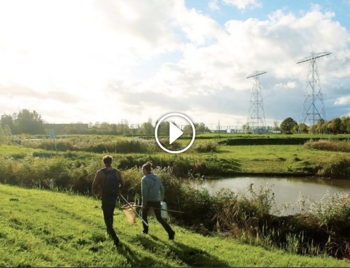 Collaboration of Waterdiertjes.nl & Semblis Foundation